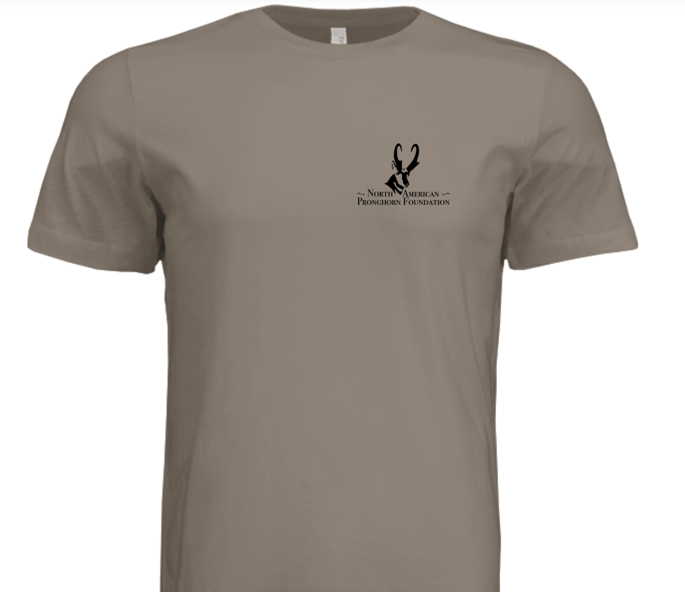 19 Million years of Antilocaprids T
