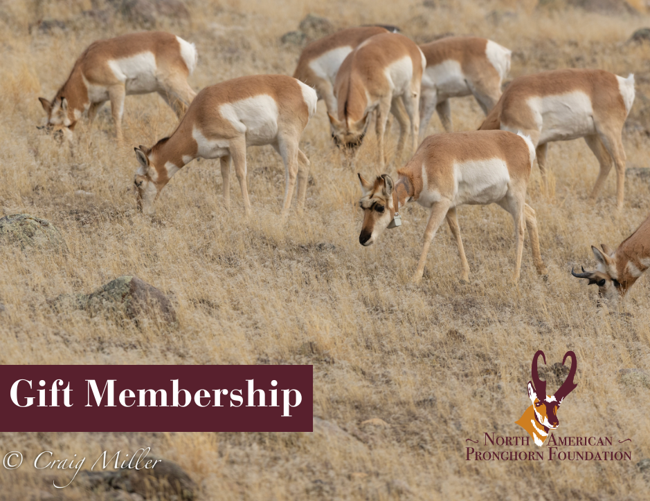 Annual Gift Membership