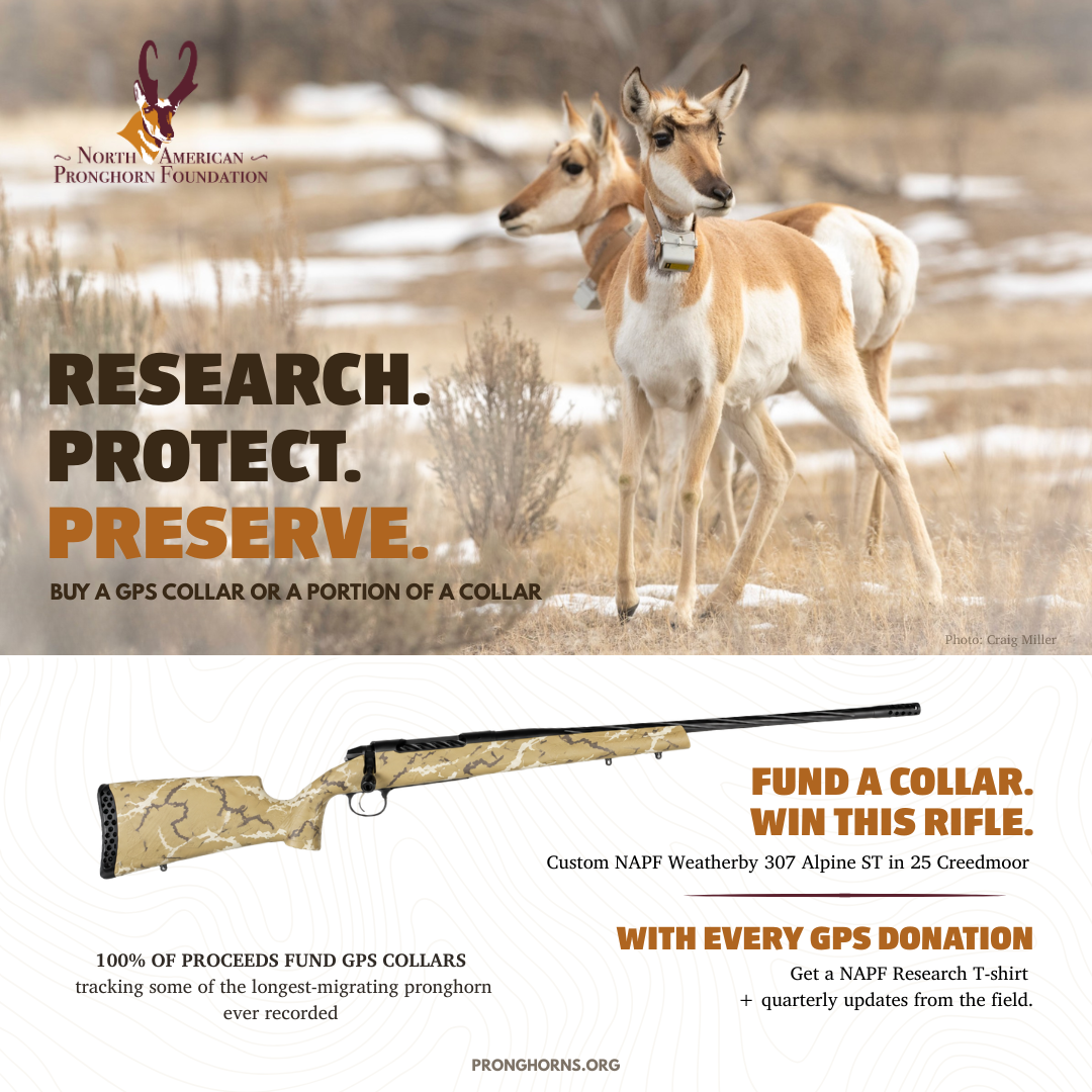 GPS Collars for Montana Pronghorn Research