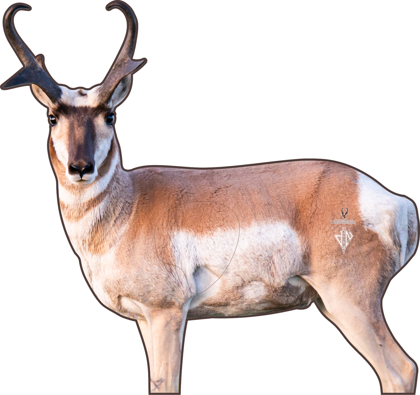 North American Pronghorn Foundation 2D Broadside Pronghorn Conservation Series Target