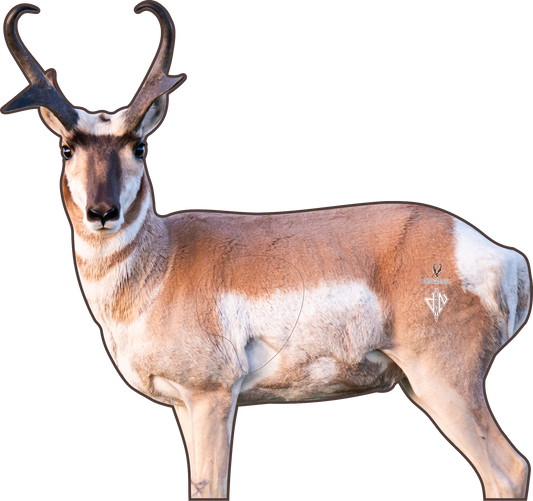 North American Pronghorn Foundation 2D Broadside Pronghorn Conservation Series Target