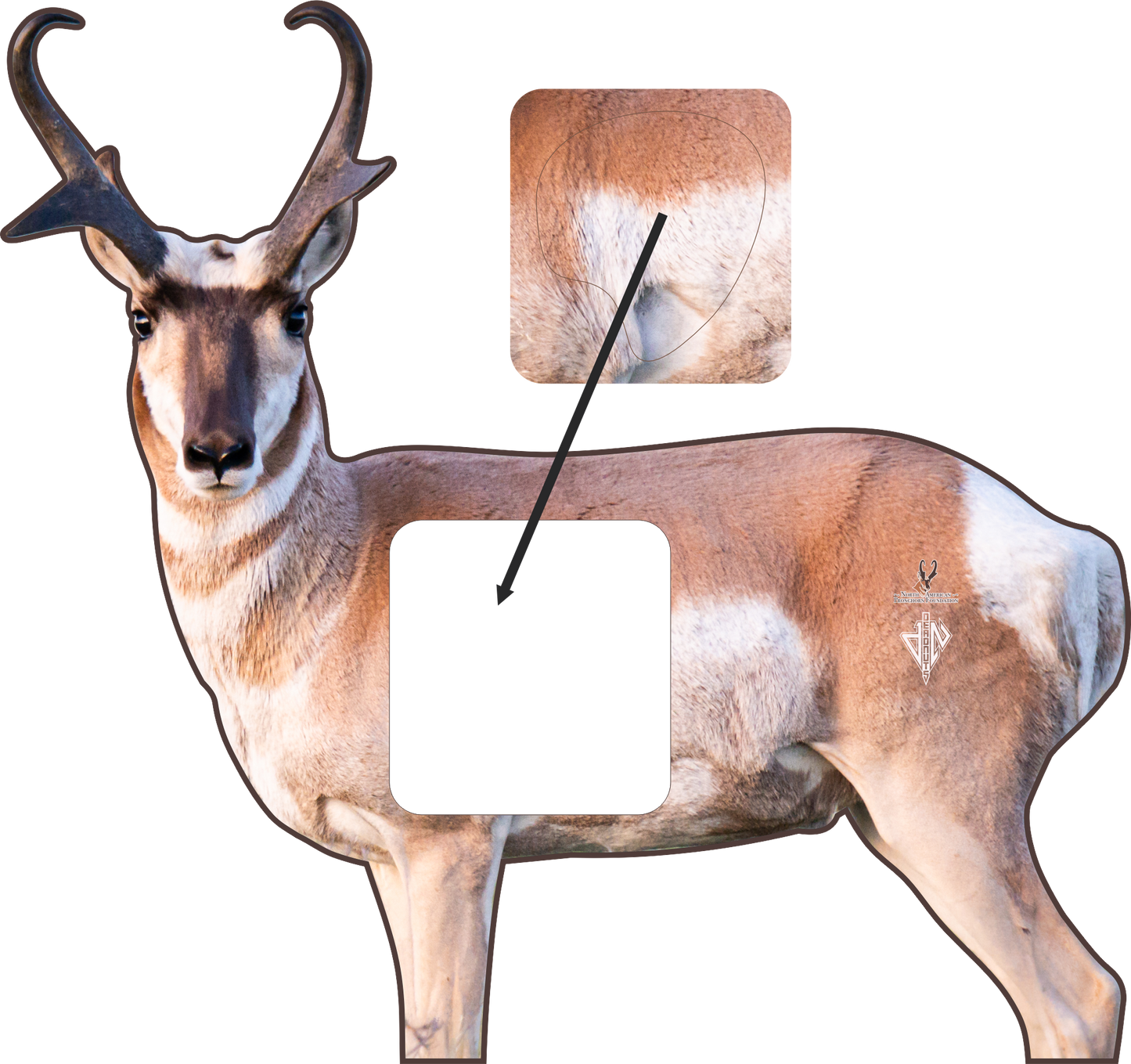 North American Pronghorn Foundation 2D Broadside Pronghorn Conservation Series Target