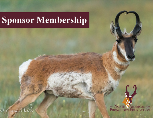 Annual Sponsor Membership